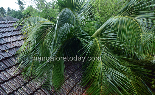 Heavy rains-